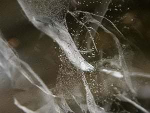 Details in the Ice