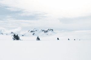 Snowmobiles in a row